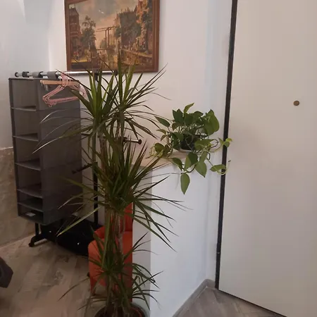 20 Rue Longue * Mentona