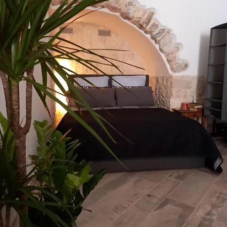 20 Rue Longue Appartement