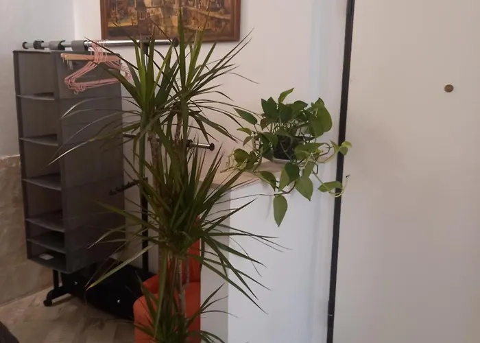 20 Rue Longue * מנטון